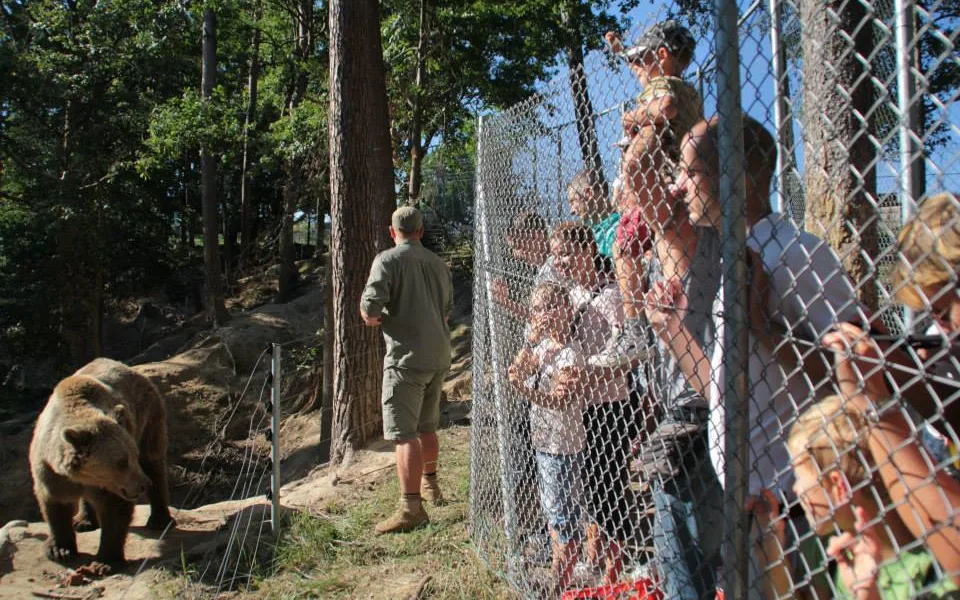 ZOO Tábor