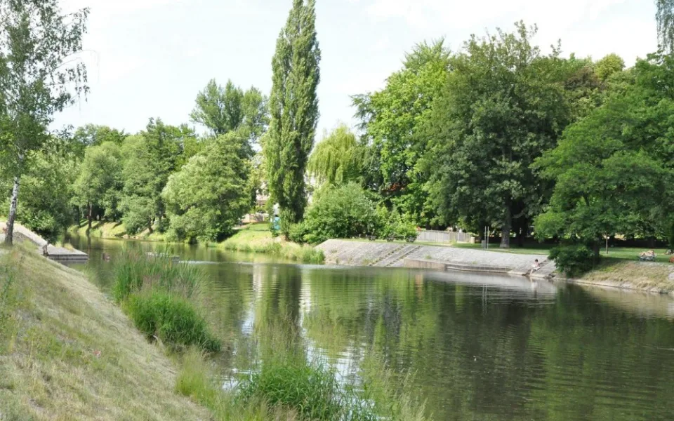 Malák