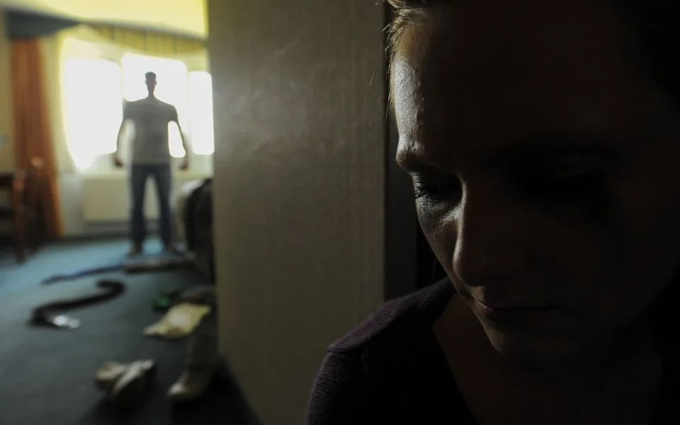 MPOTY_2014_Family_Advocacy_Program_illustration_showing_the_effects_of_domestic_violence