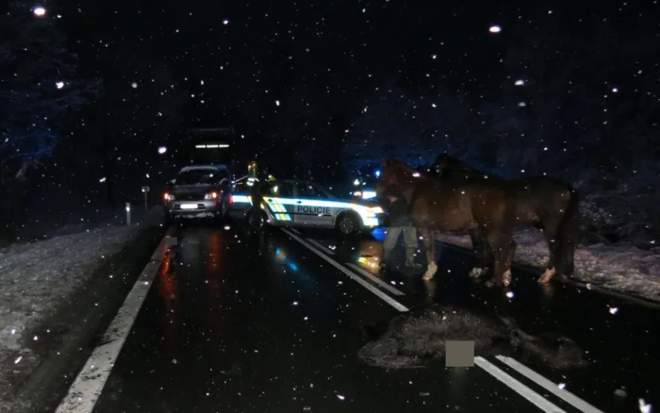 Střet s koněm na Starkonicku