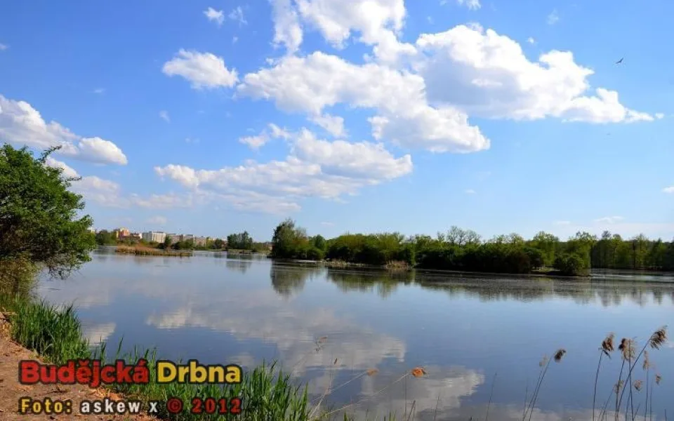 Vrbenský rybník