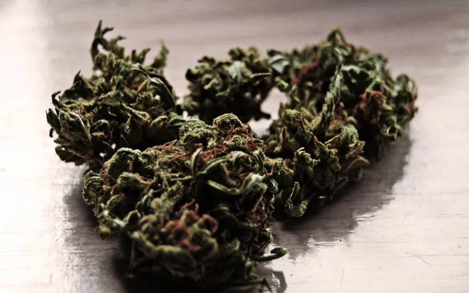 Marihuana
