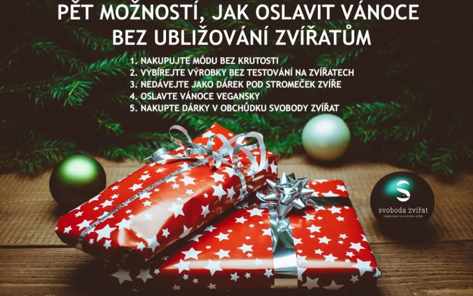 Pět tipů