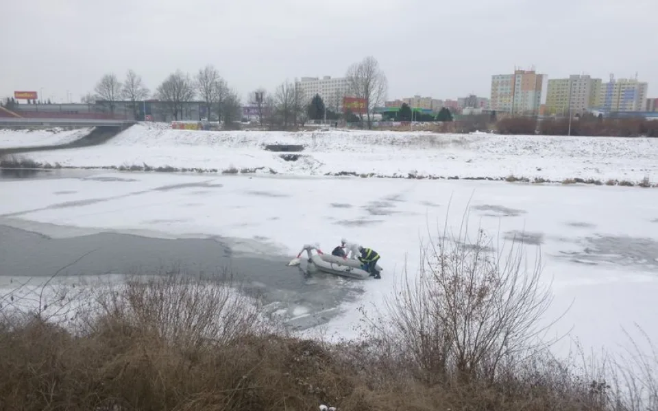 Uhynulá labuť