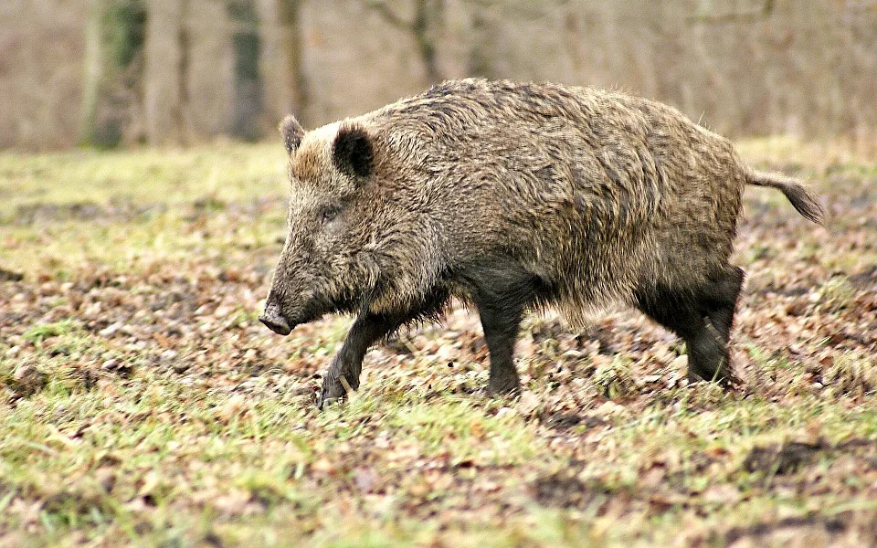 Ilustrační foto