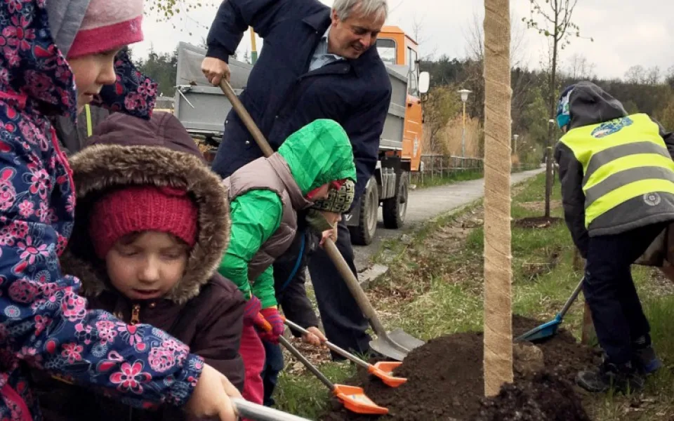 Na zakládání alejí se podílejí dobrovolníci a děti z mateřských a základních škol.