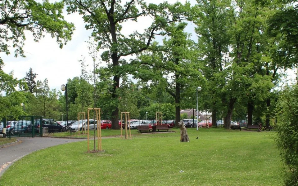 Zeleň