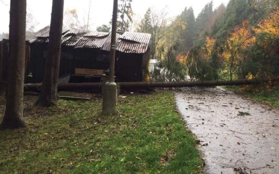 Frymburk Camp Vřesná