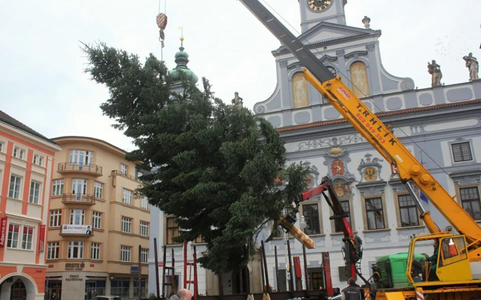 Usazování vánočního stromu na budějcké náměstí, sobota 18. listopadu dopoledne.