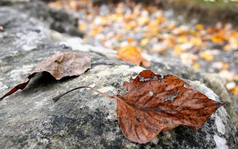 Ilustrační foto.
