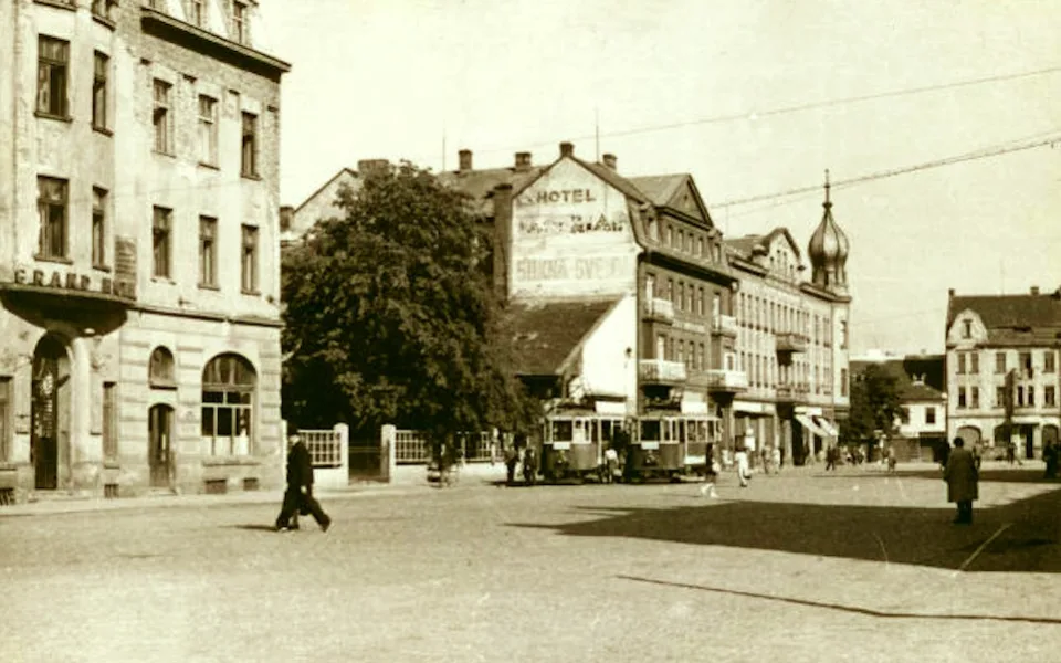 Drbna historička
