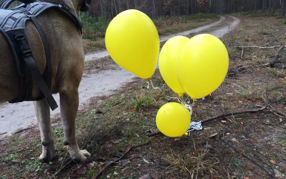 Balónky s přáním, které našli v Polsku
