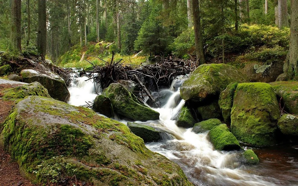 Šumava