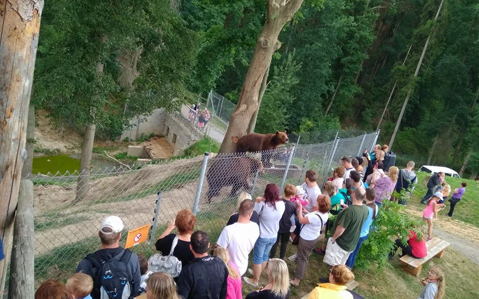 Zoo Tábor