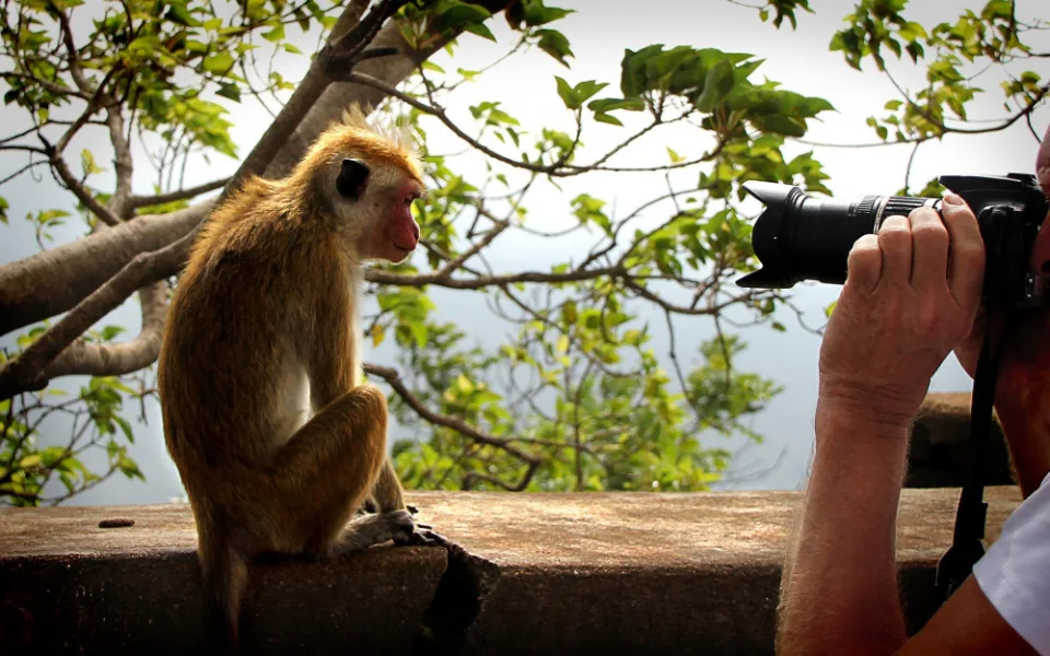 Ilustrační fotografie