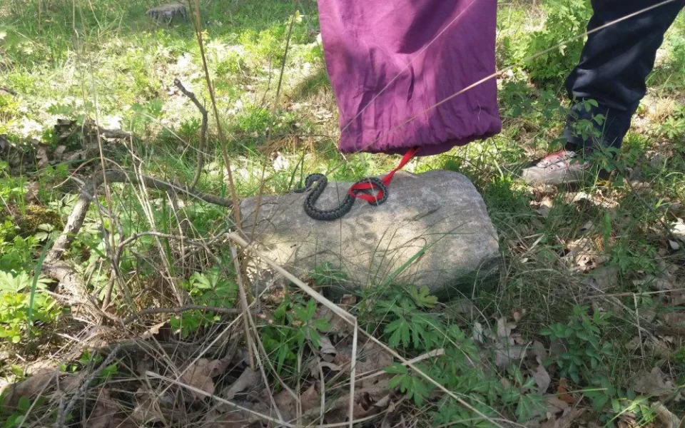 Zmije se schovala do jednoho ze skladů firmy.