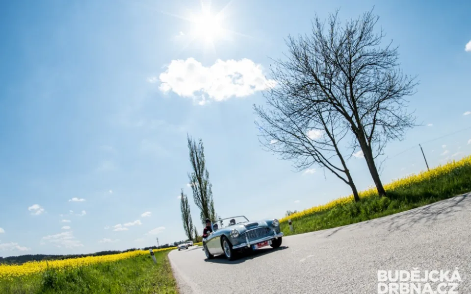 Rallye Křivonoska