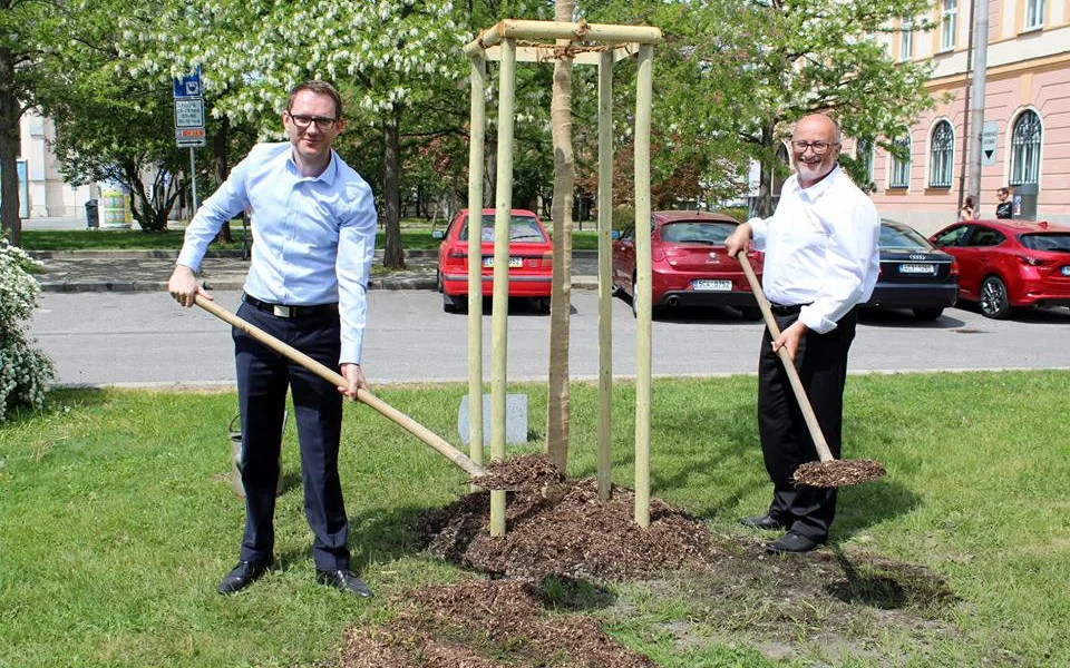 Od pravého poledne úterý 8. května roste nedaleko památníku letců RAF lípa. Vysadili ji tam primátor Jiří Svoboda a jeho náměstek Petr Podhola jako připomínku stého výročí vzniku Československa.