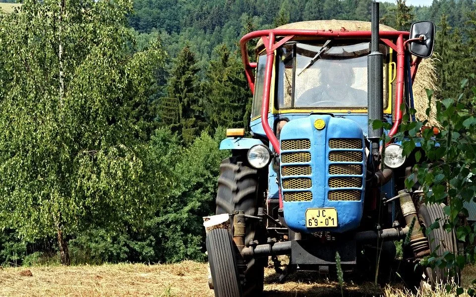 Ilustrační foto.