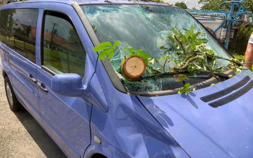 U Tábora spadl strom na projíždějící auto.