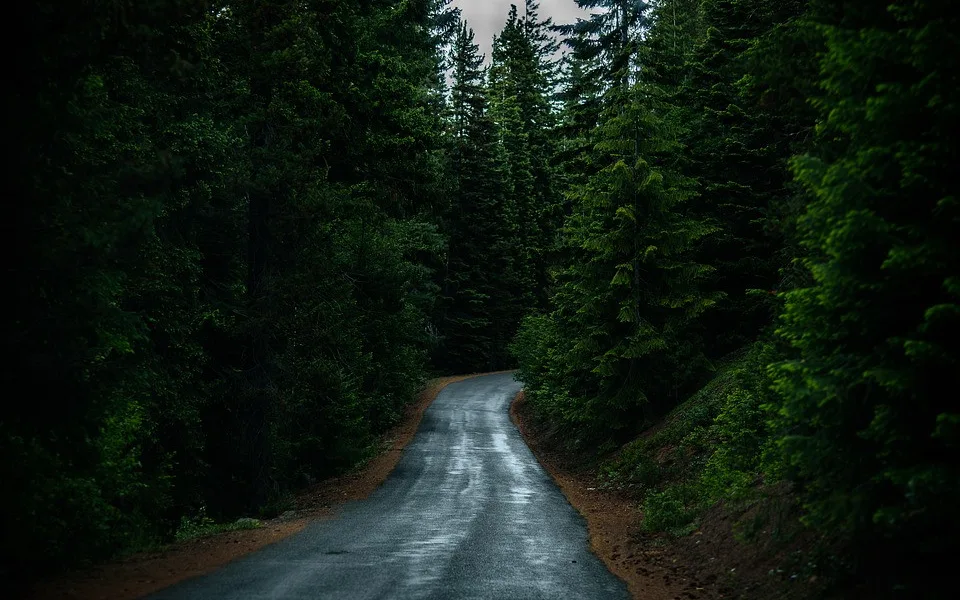 Ilustrační foto.
