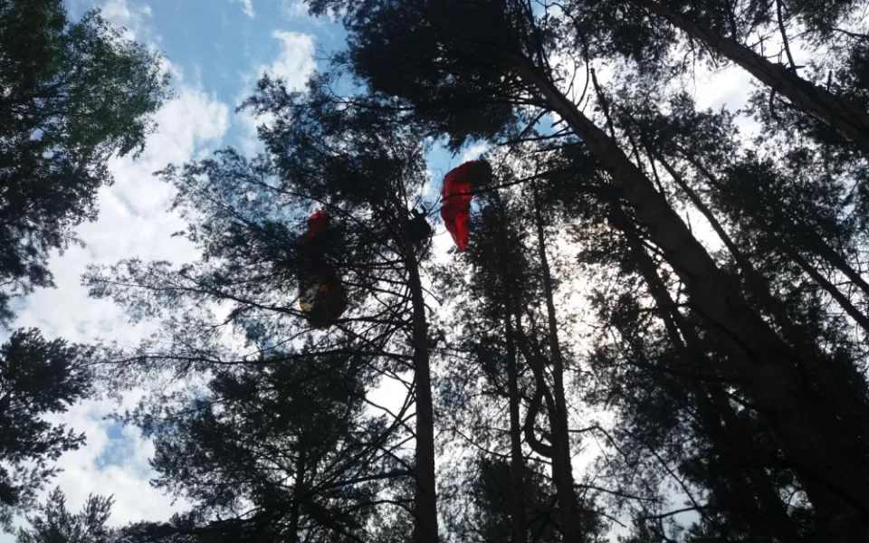 U Dlouhé Lhoty na Táborsku uvízl na stromě paraglidista. Museli ho vysvobodit hasiči.