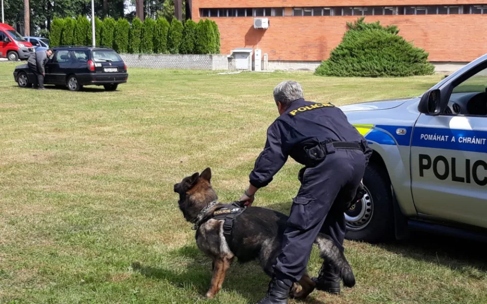 Ukázka práce s policejním psem.