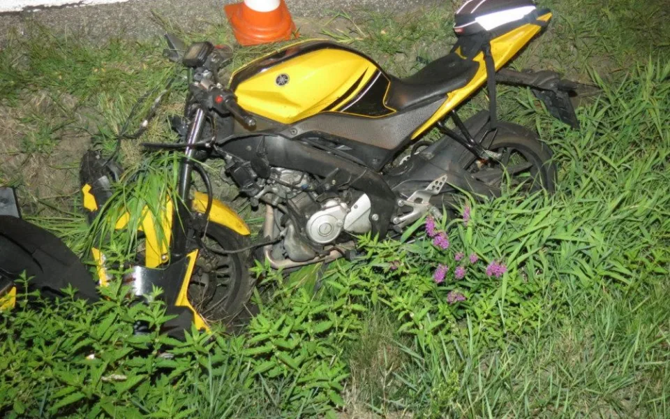 U Branišova došlo k neobvyklé dopravní nehodě. Motorkář se střetl se srnou.