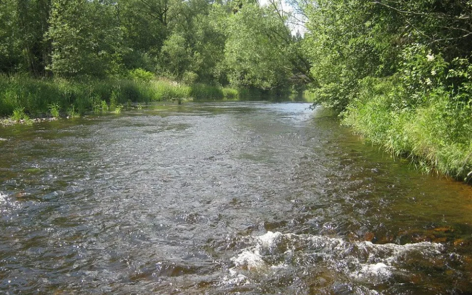 Teplá Vltava.
