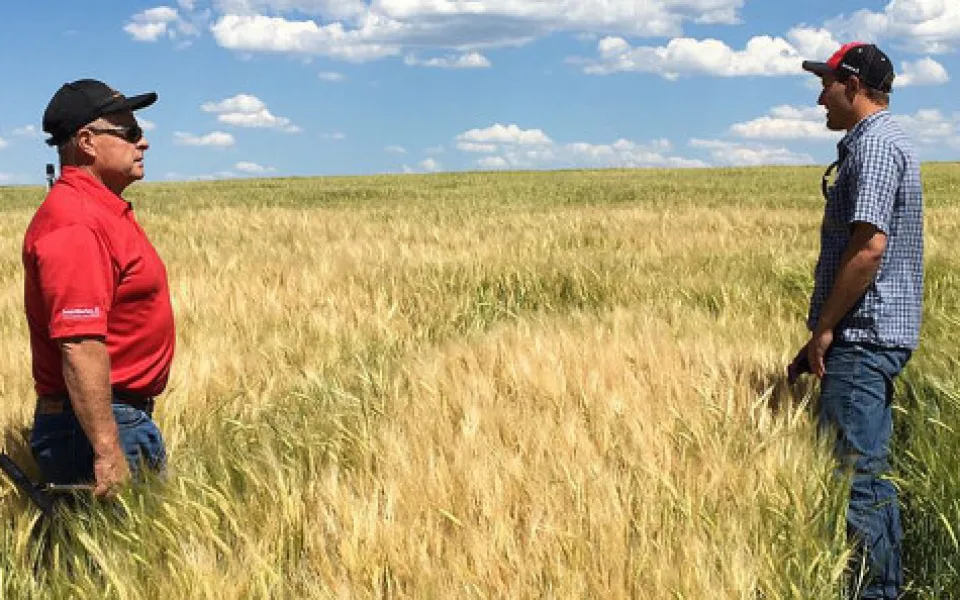 Moderní technologie pronikají i do tradičního českého pivovarnictví. Důkazem toho je projekt brazilsko-belgické společnosti AB InBev SmartBarley, který pomáhá farmářům po celém světě optimalizovat podmínky pro pěstování sladovnického ječmene.