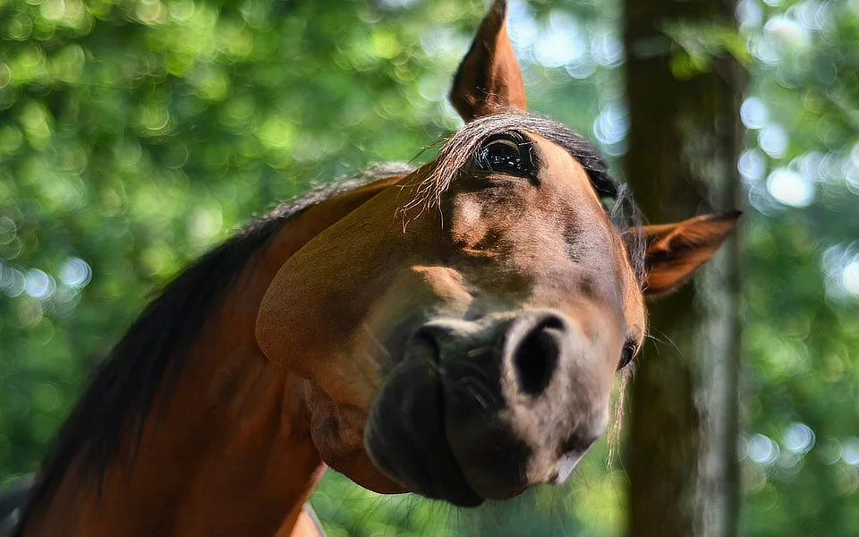 Ilustrační foto.
