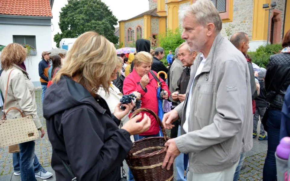 Slavnosti vína na Hluboké nad Vltavou