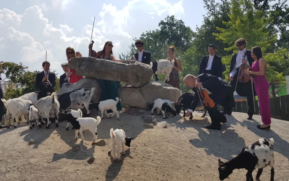 Jihočeská filharmonie natočila klip v Jihočeské zoo Hluboká nad Vltavou.