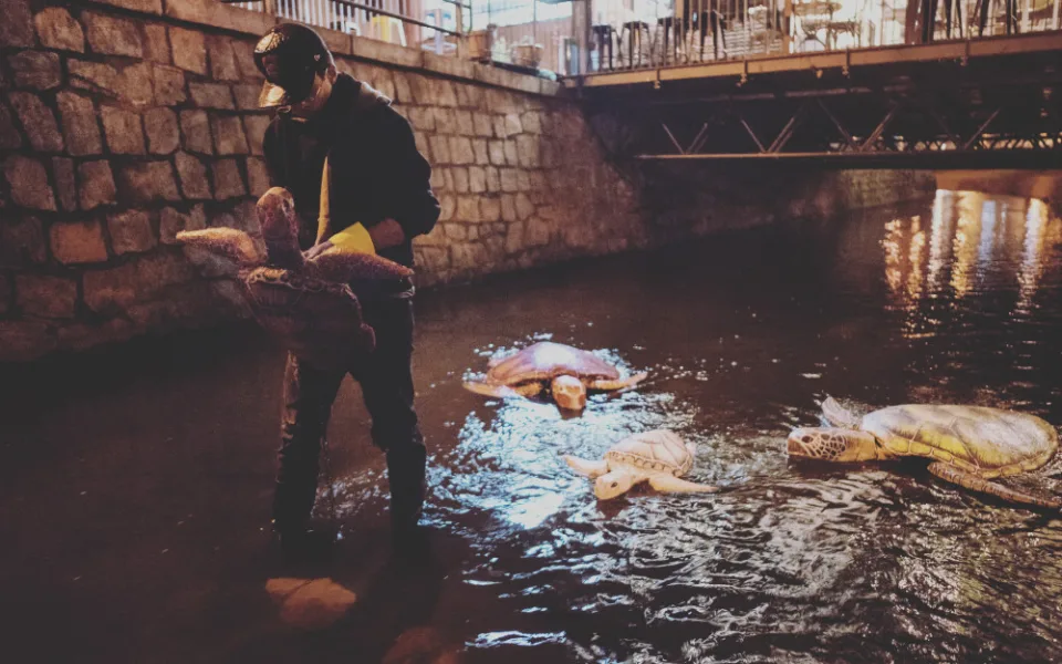 Želvy v Mlýnské stoce nejsou jen výkřikem do tmy. Představují projekt LOVE