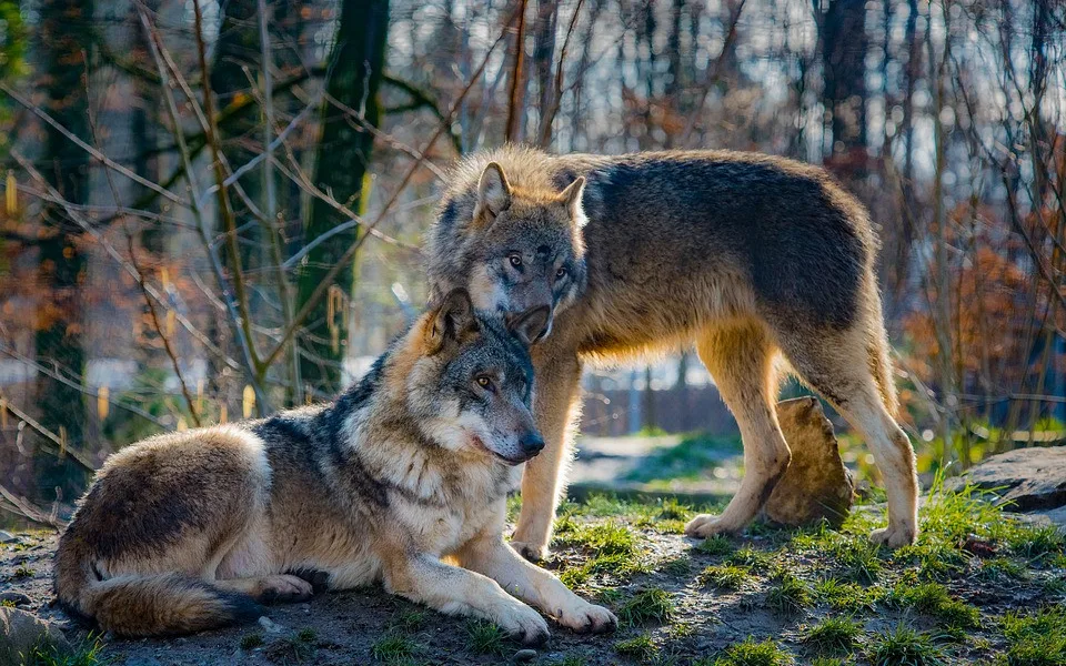 Ilustrační fotografie
