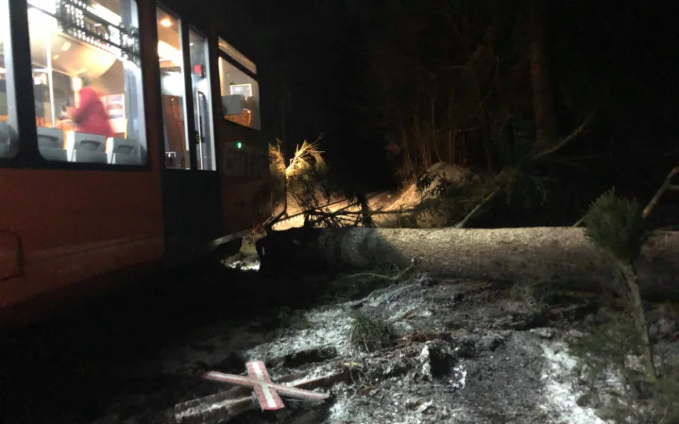 U Malenic na Strakonicku narazil vlak do stromu. Nikdo není zraněn