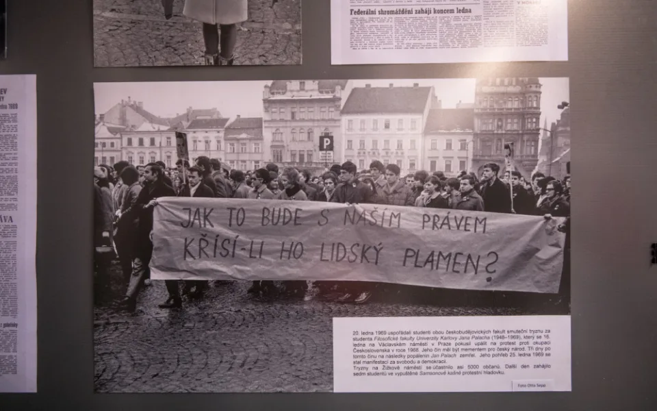 Protestní hladovka