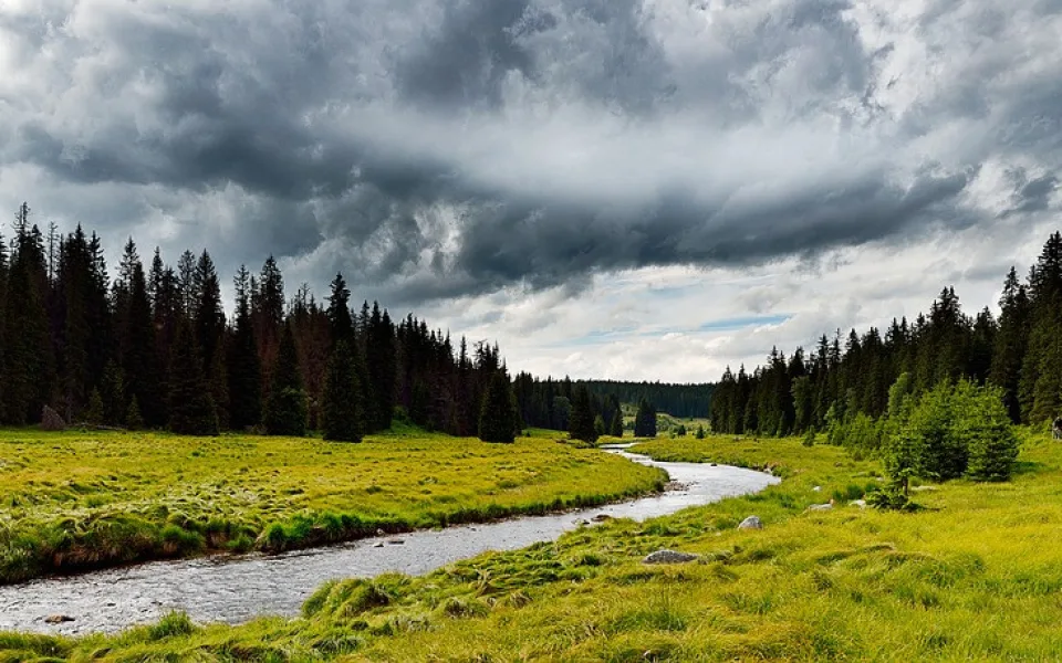 Šumava