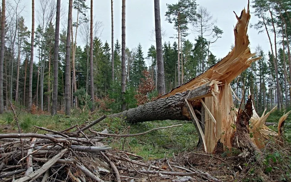 Ilustrační foto