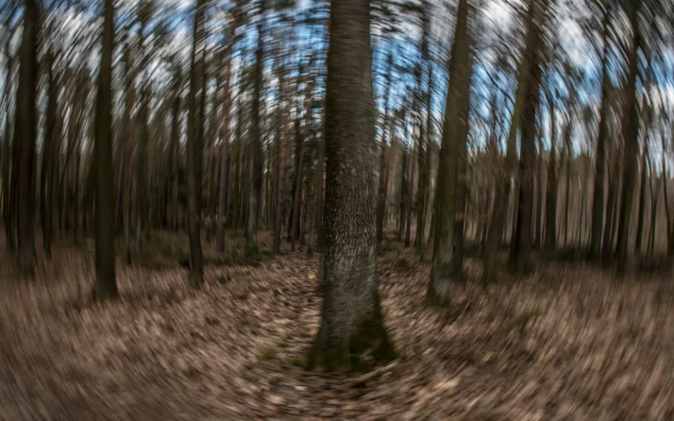 Branišák stále přichází s něčím zajímavým