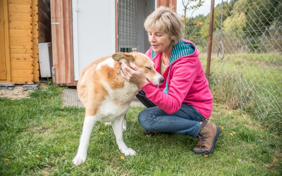 Iva Volková napsala knihu