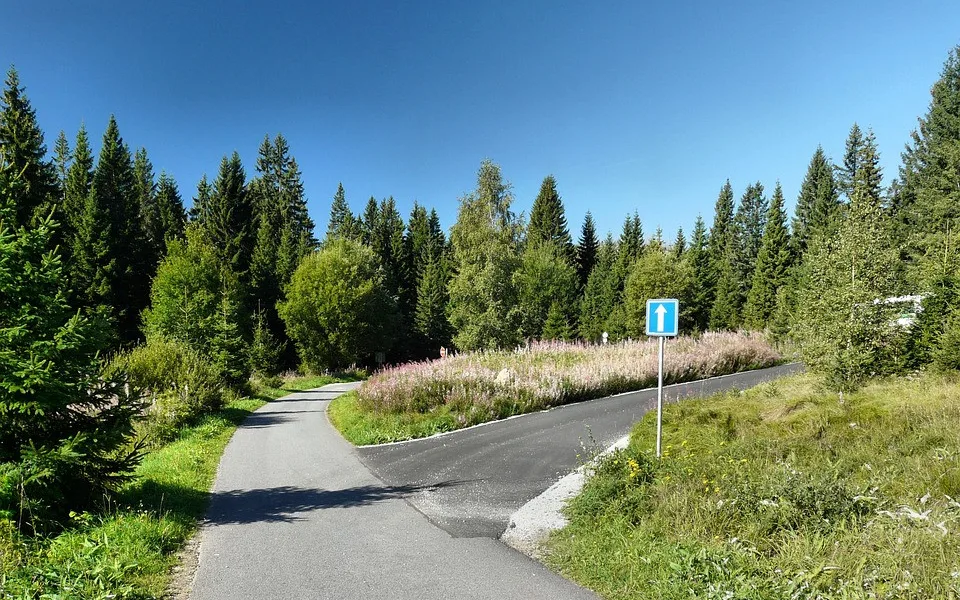 Šumava