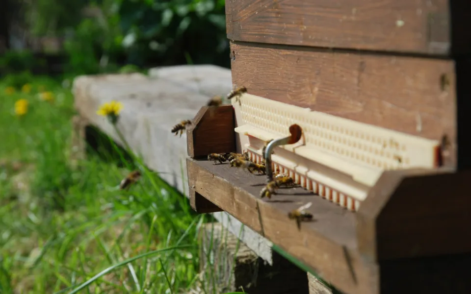 V Horním Rakousku se otevírá zemská zahradní výstava Bio.Garten.Eden Aigen-Schlägl