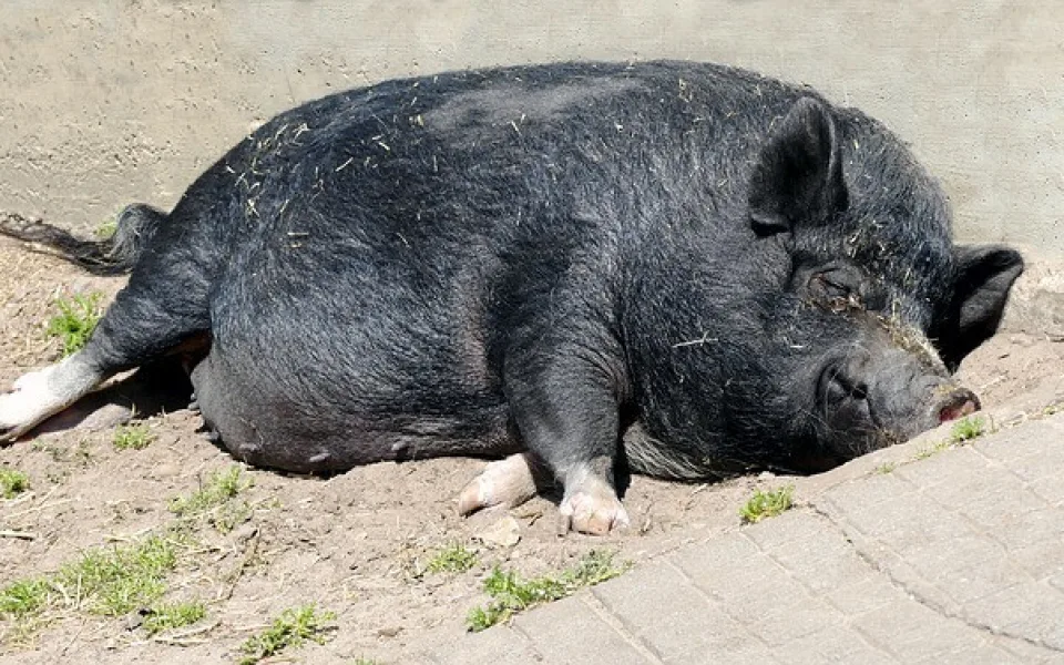 Ilustrační foto
