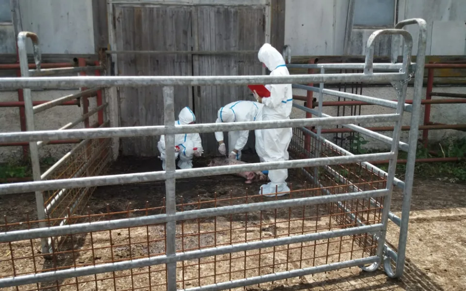 Veterinární dozor cvičil v jižních Čechách spolupráci při likvidaci nebezpečných nákaz v chovech