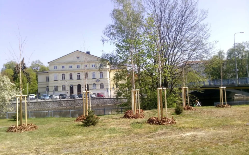 V Budějcích přibyly stromy a keře za 850 tisíc korun