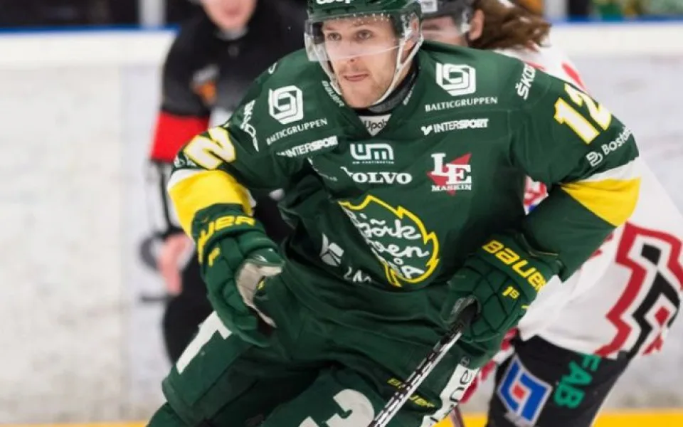 Do Motoru přichází švédský obránce Niklas Pavel.