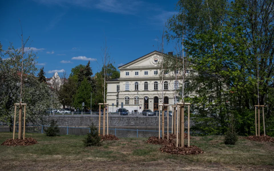 Údržba zeleně stála letos město přes 30 milionů korun.