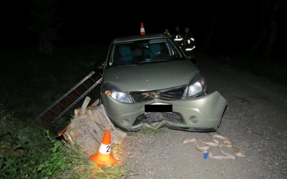 Při dopravní nehodě na Jindřichohadecku zemřel senior