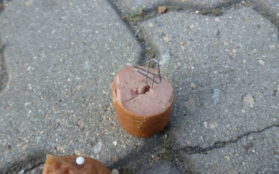 Policisté z Budějc řeší v těchto dnech případy pohozených návnad v parcích v krajském městě. Zatím neznámý pachatel či pachatelé na dvou místech pohodili uzeniny, kdy byly uvnitř napíchané špendlíky a kancelářské sponky.